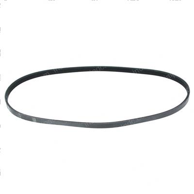 Picture of Belt - Serpentine
