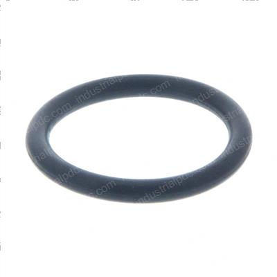 Picture of O-Ring