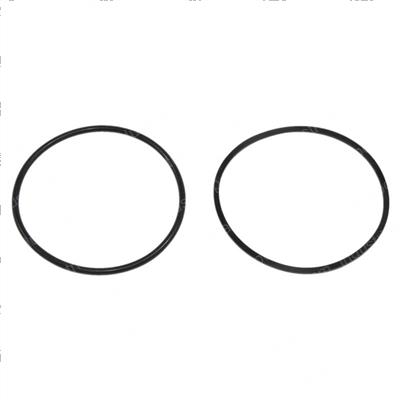Picture of O-Ring