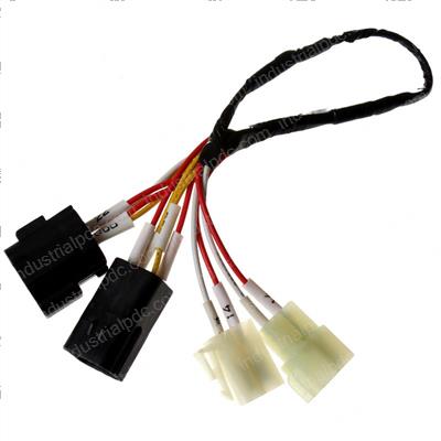 Picture of Ext Harness-Accelrator