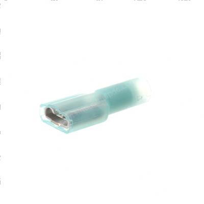 Picture of Qd - 16-14 Female