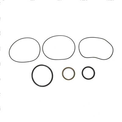 Picture of Seal Kit - Orbitrol