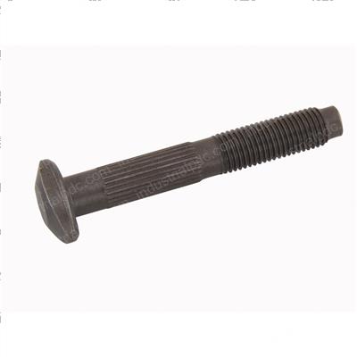 Picture of Bolt