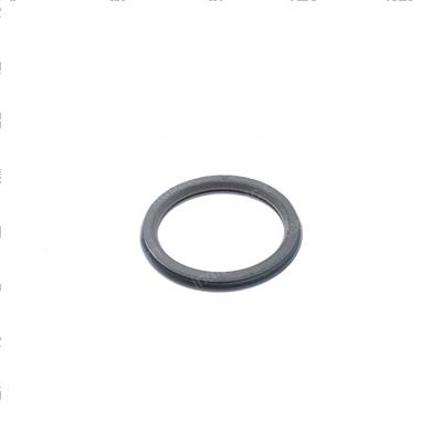 Picture of O-Ring