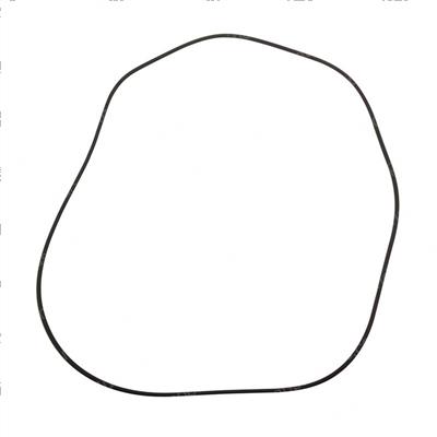 Picture of O-Ring