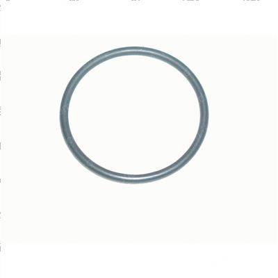 Picture of O-Ring