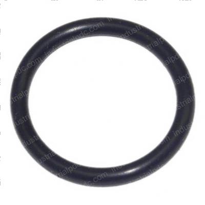 Picture of O-Ring