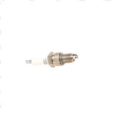 Picture of Plug - Spark