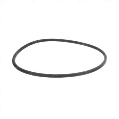 Picture of O-Ring