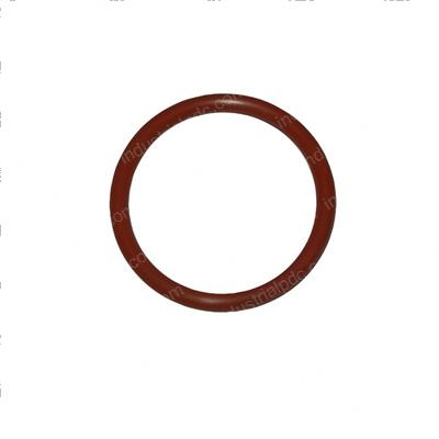 Picture of O-Ring