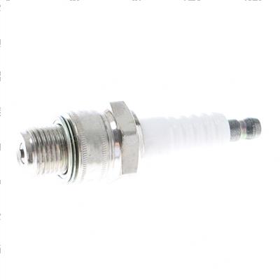 Picture of Plug - Spark