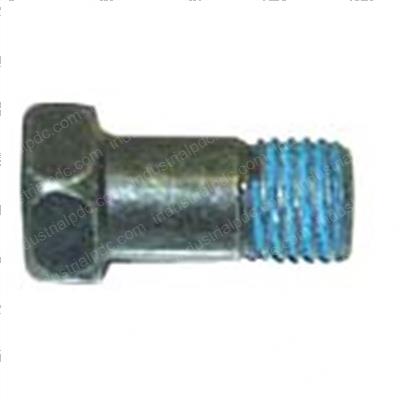 Picture of Bolt