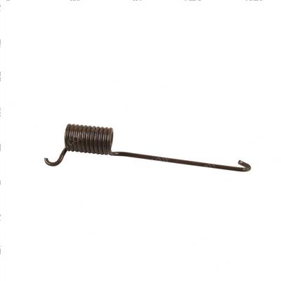 Picture of Spring
