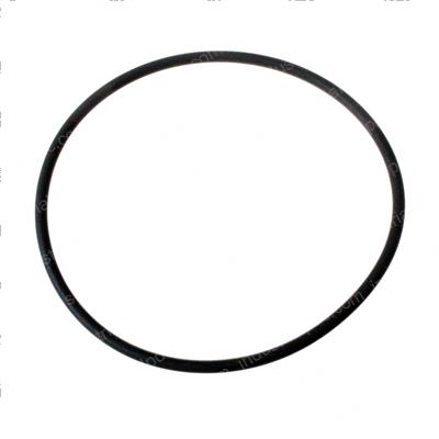 Picture of O-Ring