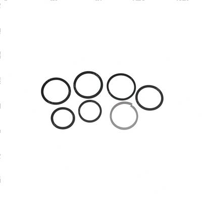 Picture of Seal Kit - Check Valve