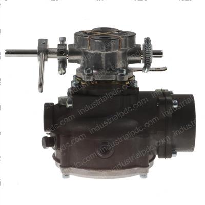Picture of Carburetor