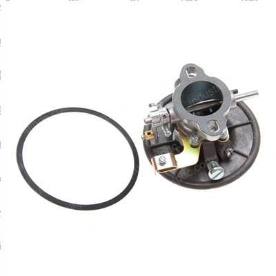 Picture of Carburetor Assy