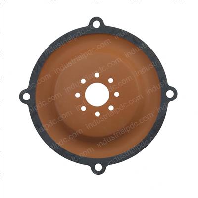 Picture of Diaphragm