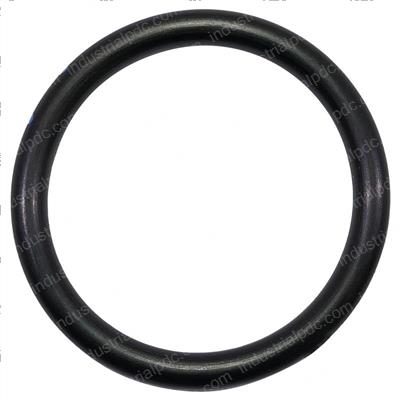 Picture of O-Ring