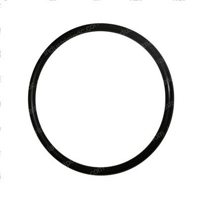 Picture of O-Ring