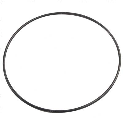 Picture of O-Ring