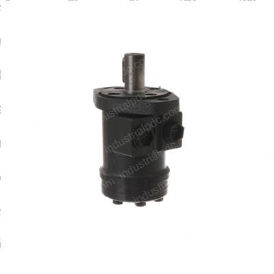 Picture of Hydraulic Motor 100cc