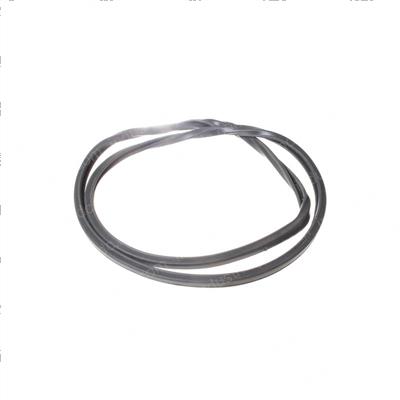 Picture of Lens Gasket for Powerlite