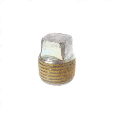 Picture of Plug - W/Head Taper