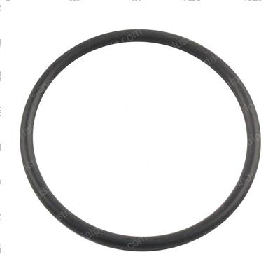 Picture of O-Ring