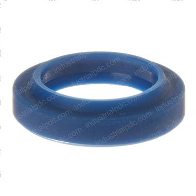 Picture of Ring - Dust