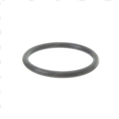 Picture of O-Ring