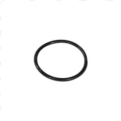 Picture of O-Ring