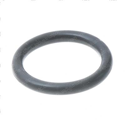 Picture of O-Ring