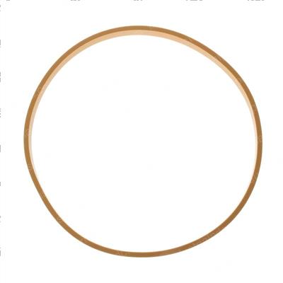 Picture of Ring. Teflon