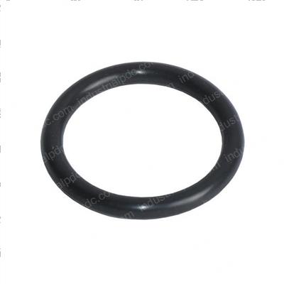 Picture of Ring, Seal