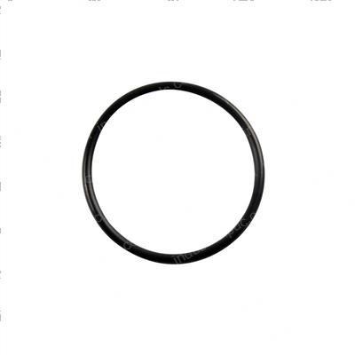 Picture of O-Ring