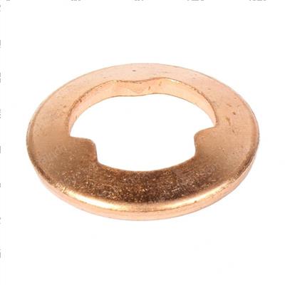 Picture of Nozzle Gasket