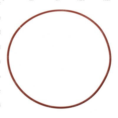 Picture of O-Ring