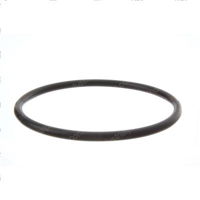 Picture of O-Ring