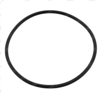 Picture of O-Ring