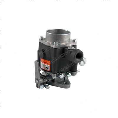Picture of Carburetor