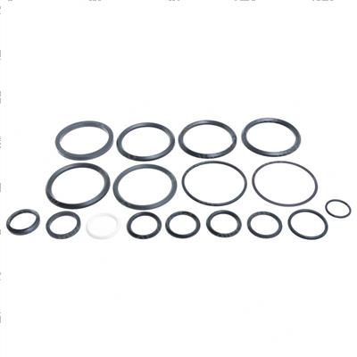 Picture of Seal Kit - Hydraulic Cylinder