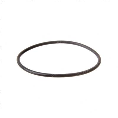 Picture of O-Ring