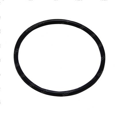 Picture of O-Ring