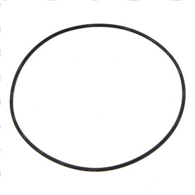 Picture of O-Ring