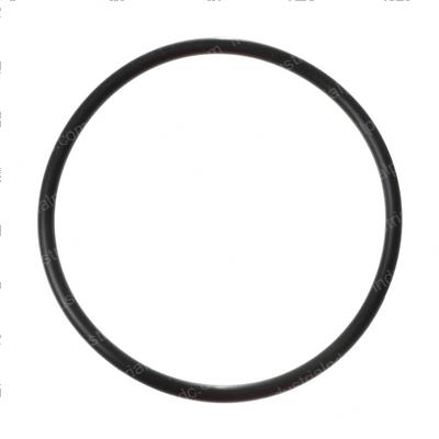 Picture of O-Ring