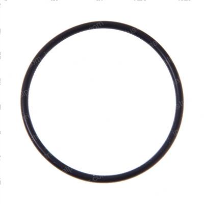 Picture of O-Ring
