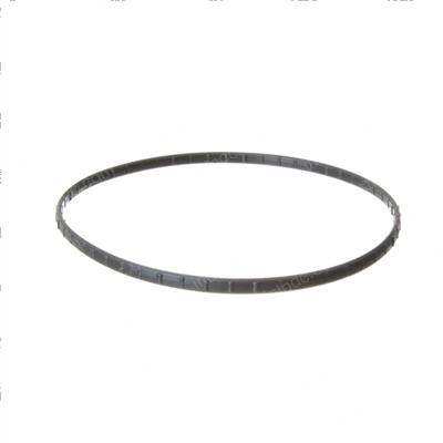 Picture of Seal