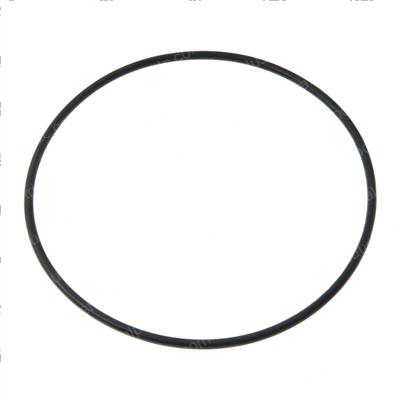Picture of O-Ring