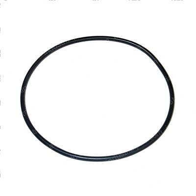 Picture of O-Ring